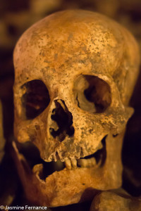 Paris Catacombs Skull