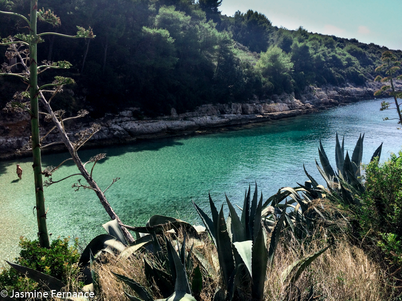 Our private beach