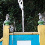 Watch out for the monkeys, Batu Caves, Malaysia