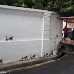 101 Lost Kittens project, street art in Penang