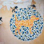 101 Lost Kittens project, street art in Penang
