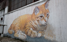 101 Lost Kittens project, street art in Penang