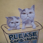 101 Lost Kittens project, street art in Penang