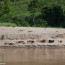 Along the Mekong