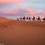 Camel riding in the Moroccan Sahara