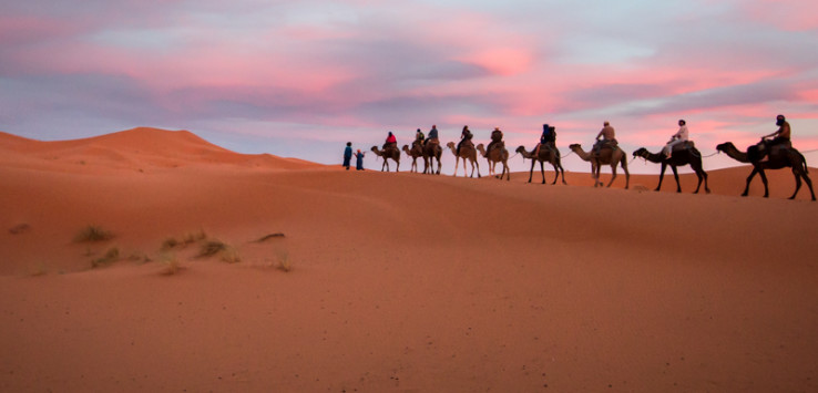 Camel riding in the Moroccan Sahara