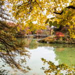 Central Park, New York, in Autumn