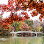 Central Park, New York, in Autumn