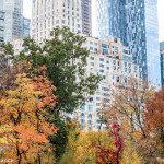 Central Park, New York, in Autumn