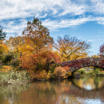 Central Park, New York, in Autumn