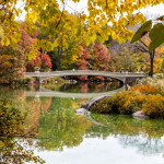 Central Park, New York, in Autumn