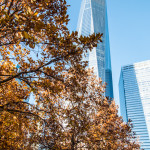 Manhattan in Autumn