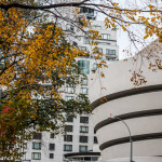 The Guggenheim, New York, in Autumn