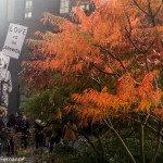 The High Line, New York, in Autumn