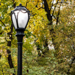 Central Park, New York, in Autumn