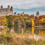 Central Park, New York, in Autumn