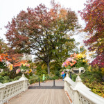 Central Park, New York, in Autumn